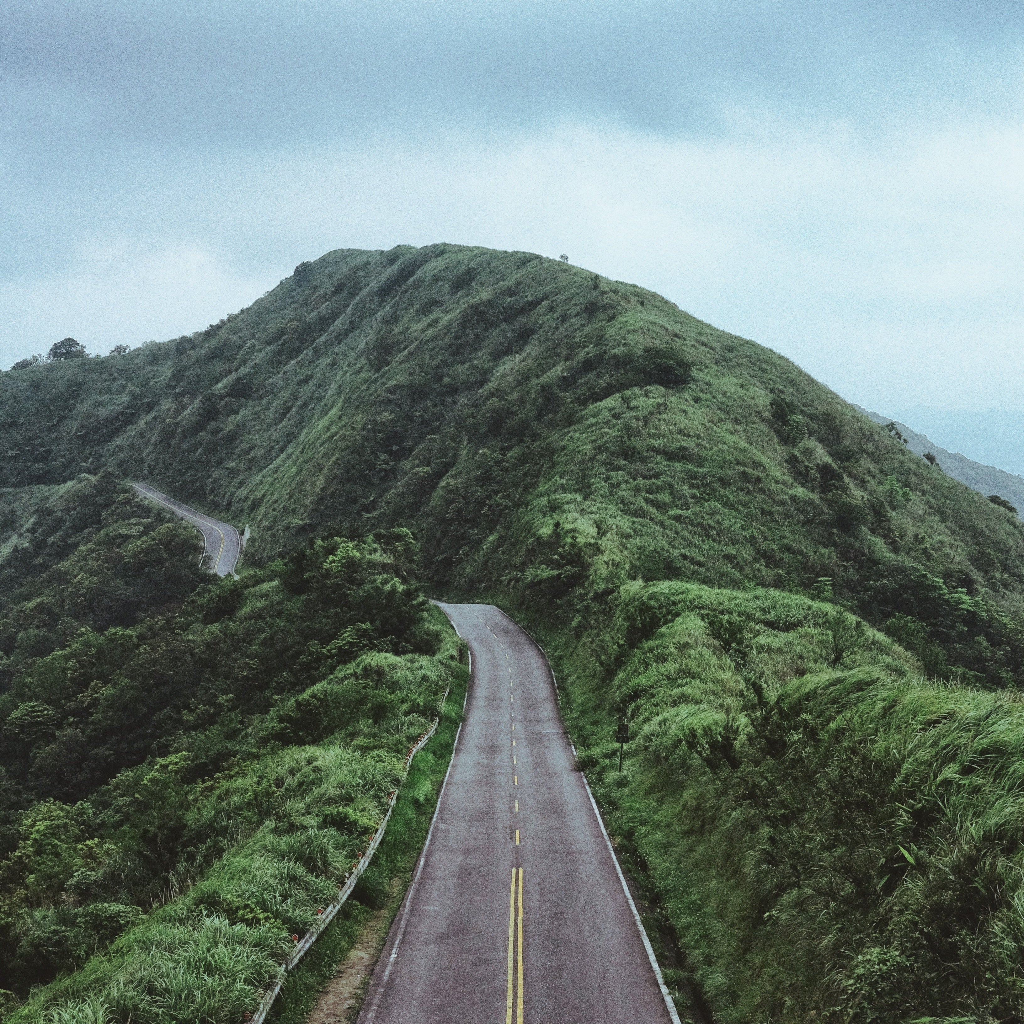 Road in the mountains with green trees all around